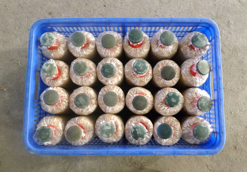 菌種周轉筐 菌種周轉筐